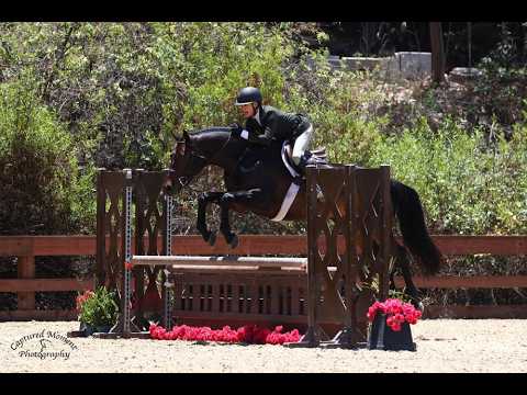 Cooper video 2