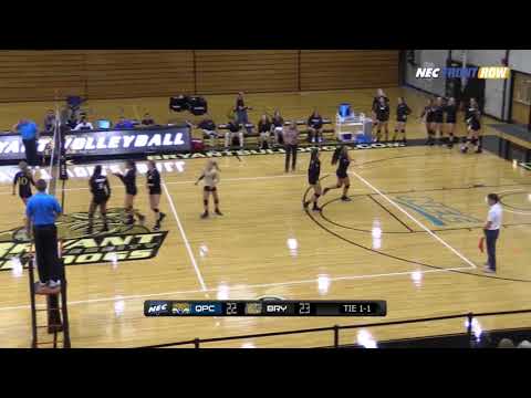 Volleyball vs. Quinnipiac Highlights thumbnail