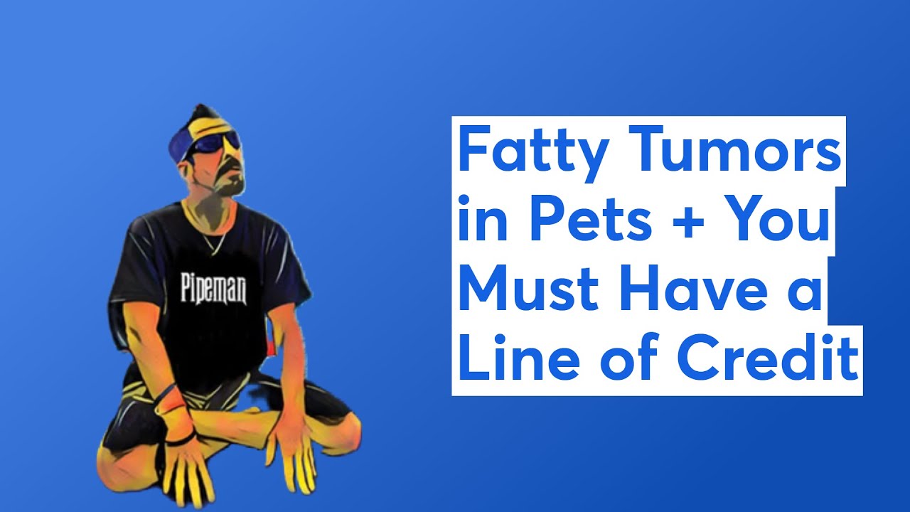 Fatty Tumors in Pets + You Must Have a Line of Credit