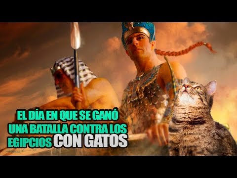 El día en que se ganó una batalla contra los egipcios CON GATOS