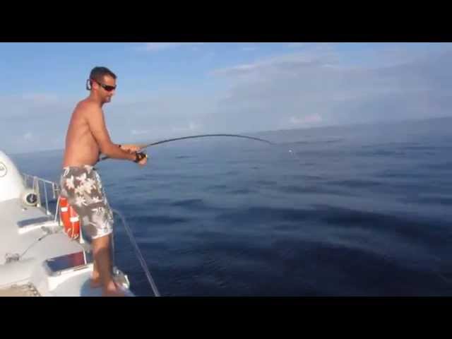 Shark Attack Fishermans Big Tuna - Crazy shark Fishing Video