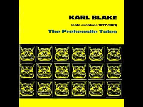 Karl Blake - Dreams of the Lichen Tester