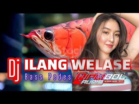 DJ CEK SOUND | STYLE (ILANG WELASE) VERSI BANYUWANGIAN | BASS PALING GLERR | SPESIAL 2025