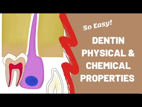 Zębina | Fizyczne i chemiczne właściwości