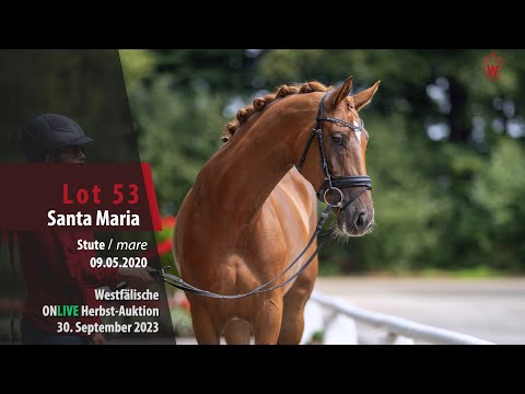 ONLIVE Herbst-Auktion Lot 53 Santa Maria Stute v. Selectric - Ehrenpreis
