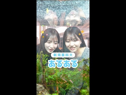 臨床検査学科 薬科大生あるある