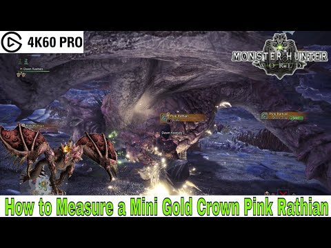 Monster Hunter: World - How to Measure a Mini Gold Crown Pink Rathian Video