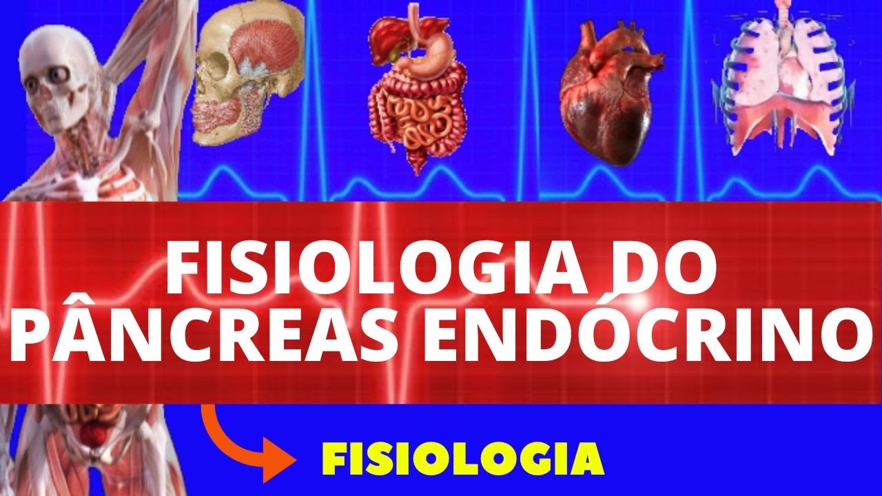 FISIOLOGIA DO PÂNCREAS ENDÓCRINO (FISIOLOGIA DE GUYTON) - INSULINA E GLUCAGON - FISIOLOGIA HUMANA