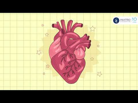 Prevenția bolilor cardiovasculare