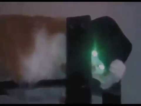 First video of year 2019 in YouTube |Kiribati Island Tme Zone|