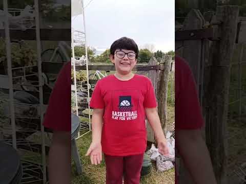 Un niño emprendedor en Canelones