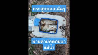 พายเรือคายัคตกกระสูบแม่น้ำไซซ์บอส‼️ผลงานวันนี้ 😮 #kayakfishing #adventure #outdoors
