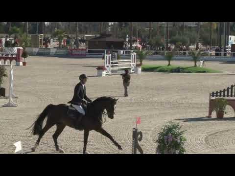 Stall NAGEL NECOFINO von Nerrado