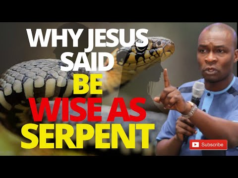 WHY JESUS SAID BE WISE AS SERPENTS | APOSTLE JOSHUA SELMAN