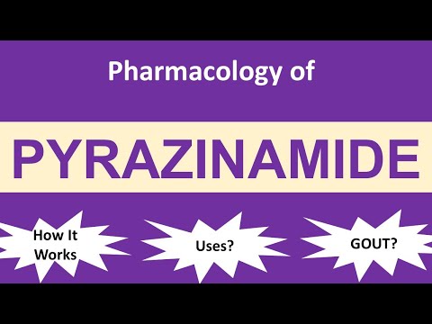 Pyrazinamide PYZINA 500 MG