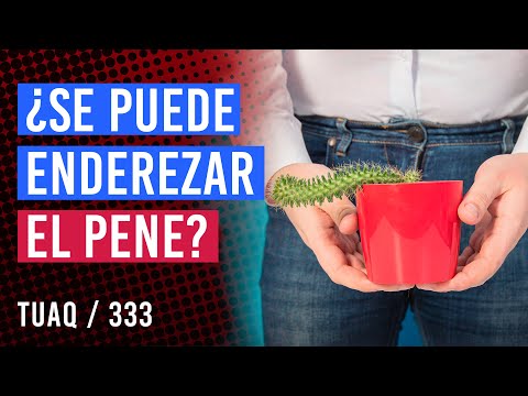 ¿Se puede enderezar el pene?