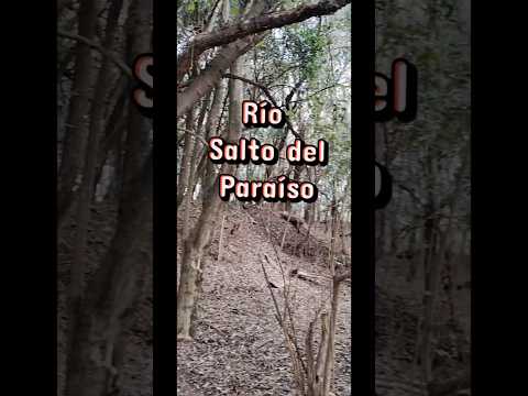 Río Salto del Paraíso, Libertador San Martín #rio #naturaleza #camino  #argentina