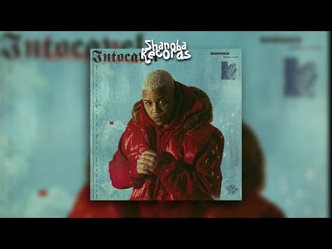 Borges ft. Kyan - Contando dinheiro | LETRA | Shanoba