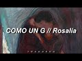 ROSALÍA - COMO UN G (English Lyrics + Letra)