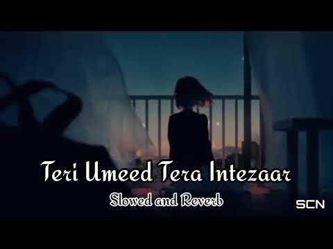 Teri Umeed Tera Intezar | Slowed And Reverb | Rishi Kapoor ,Divya Bharti | SCN Lofi Songs