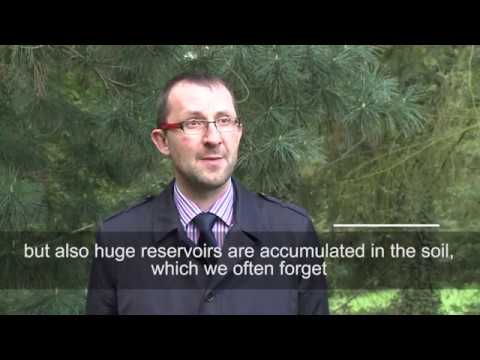 Leśne Gospodarstwa Węglowe #2  [ENG sub]