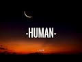 Human - Rag'n'Bone Man (Slowed + Reverb + Lyrics)