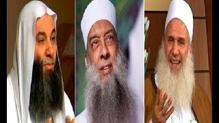 الأمة تحيا بشبابها | لقاء خاص للمشايخ الحويني وحسان ويعقوب image