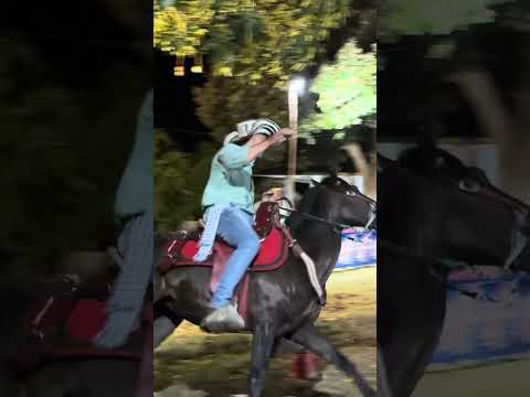 Tercer Festival de Caballo Criollo de Vaquería y sus cruces en San Andrés de Sotavento, Córdoba.