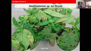 Difficult to Control Diseases of Herbaceous Ornamental
