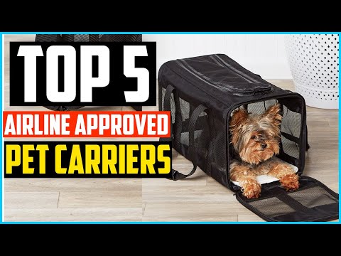 ✅Top 5 Best Airline Approved Pet Carriers Review in 2022