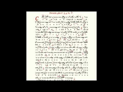 Cel ce se atinge de munți - stih din Anixandarele mari