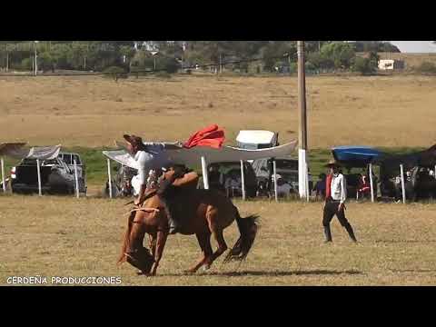 VILLA HIPICA DE SARANDI DEL YI 2025 CRIOLLAS