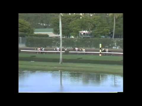 Sneaky Solicitor - The Hutcheson Stakes 1992