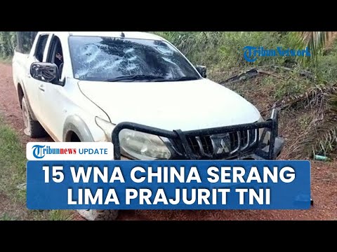 Detik-detik 15 WNA China Diduga Ngamuk & Serang 5 Prajurit TNI hingga Rusak Fasilitas di Ketapang