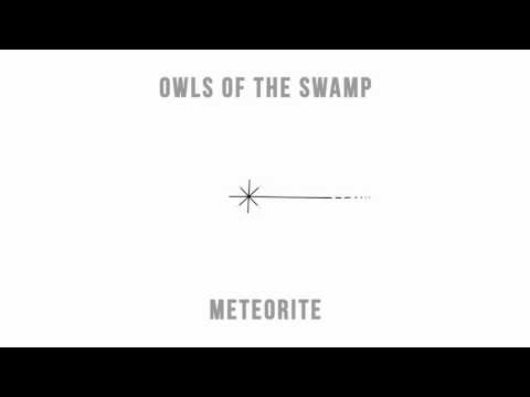 Owls of the Swamp - Meteorite (single)