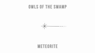 Owls of the Swamp - Meteorite (single)