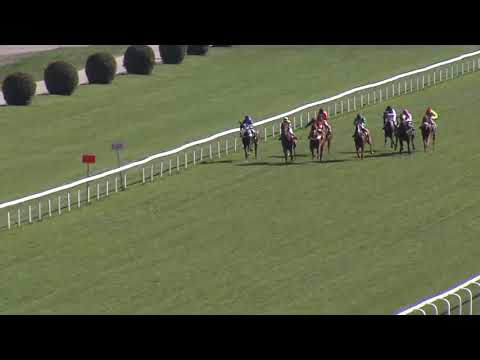 5. dostih - CENA WWW.VELKA-CHUCHLE.CZ - dostihy Velká Chuchle 22. 4. 2019