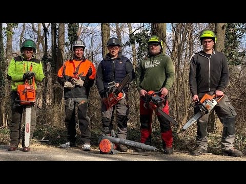 FŰRÉSZ MÁNIA: FENNAKADT KŐRISEK,ÓRIÁSI AKÁCOK AZ OBSZERVATÓRIUMNÁL