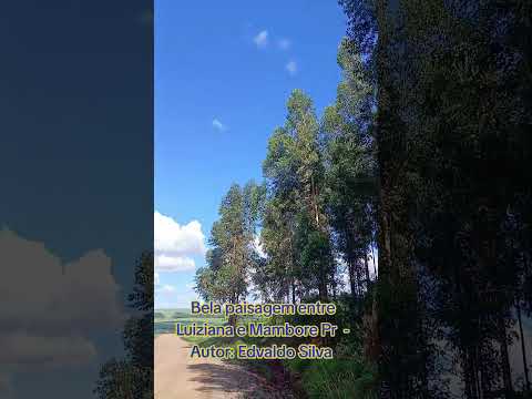 Entre Luiziana e Mambore Pr