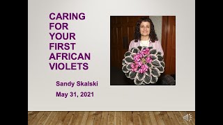 Caring For Your First Violets - Sandra Skalski