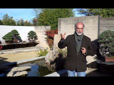 Bonsai garden design by Luis Vallejo