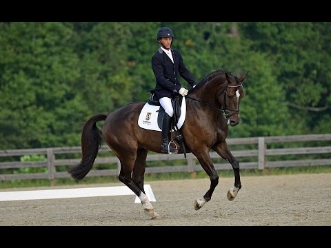 Ultimate Timing aka Smurf Schooling Dressage