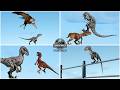 Velociraptor All Abilities Interactions Showcase In Jurassic World Evolution 3 JWE