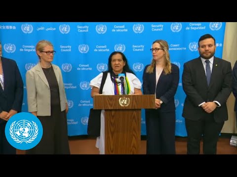 Video Thumbnail: Joint Pledges on Climate, Peace and Security in Central Africa - Stakeout | United Nations