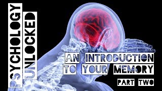An Introduction to your Memory Lecture (Part Two)