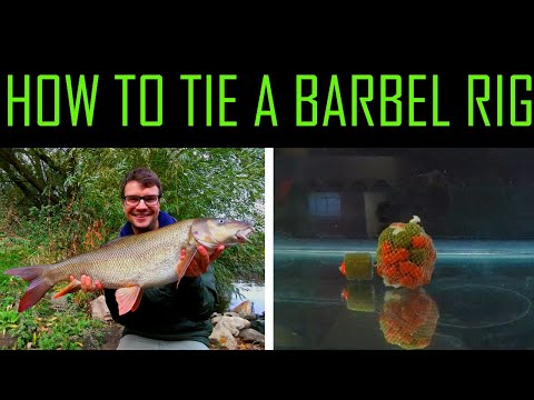 HOW TO TIE|a simple and effective BARBEL rig!