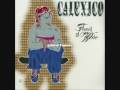Calexico ~ Woven Birds