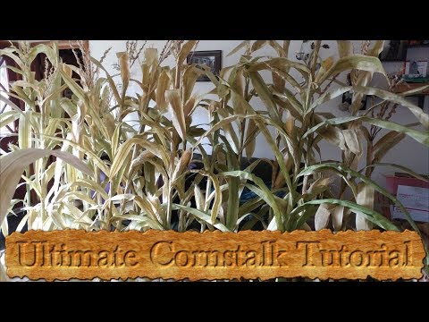 download lagu mp3 mp4 Artificial Corn Stalks, download lagu Artificial Corn Stalks gratis, unduh video klip Artificial Corn Stalks