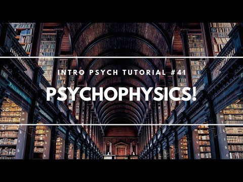 Introduction to Sensation and Perception Intro Psych Tutorial 40