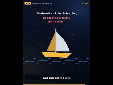 MSR đang được bàn tán nhiều